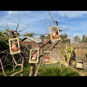 Apple decor 🍎 🍏